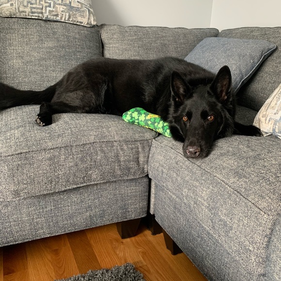 Meet your Posher, Karen - Picture 2 of 3